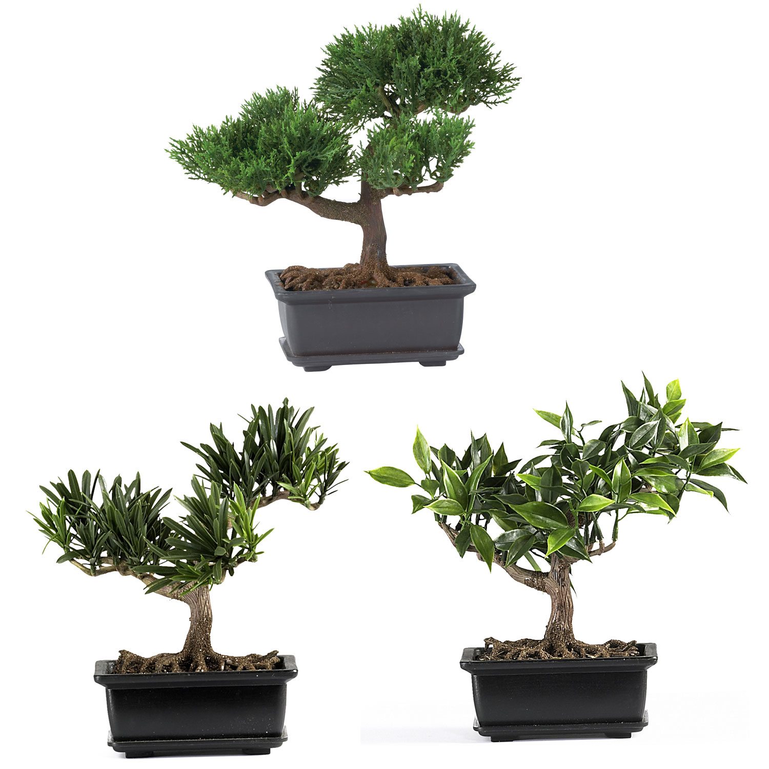 8.5 Inch Bonsai Collection (set Of 3)