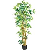 Artificial Potted Bambusa Bamboo Tree