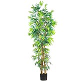 7 foot Fancy Style Bamboo Tree: Potted