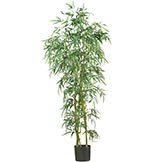 6 foot Fancy Style Slim Bamboo Tree: Potted