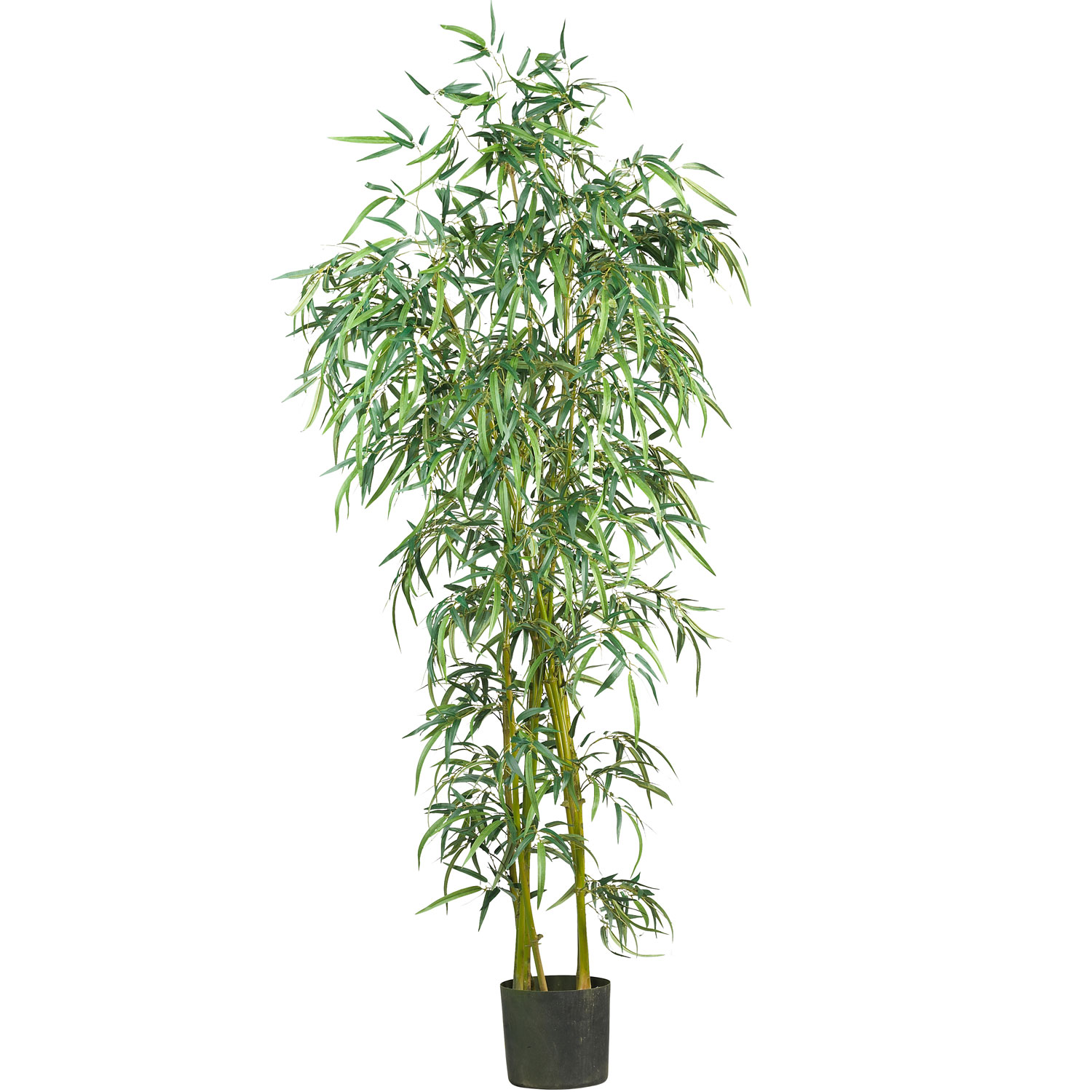 6 foot Fancy Style Slim Bamboo Tree: Potted