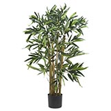 3 foot Biggy Bamboo Tree: Potted