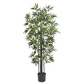 6 foot Bamboo Tree with Green Trunks: Potted