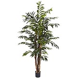 5 foot Bamboo Palm Tree: Potted