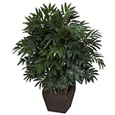 35 inch Double Bamboo Palm in Decorative Planter