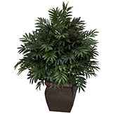 43 inch Triple Bamboo Palm in Decorative Planter