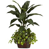4 foot Bird of Paradise and Pothos in Decorative Planter