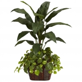 4 foot Bird of Paradise and Pothos in Decorative Planter