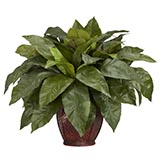 23 inch Birds Nest Fern in Decorative Vase