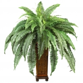 33 inch Boston Fern in Decorative Wood Vase