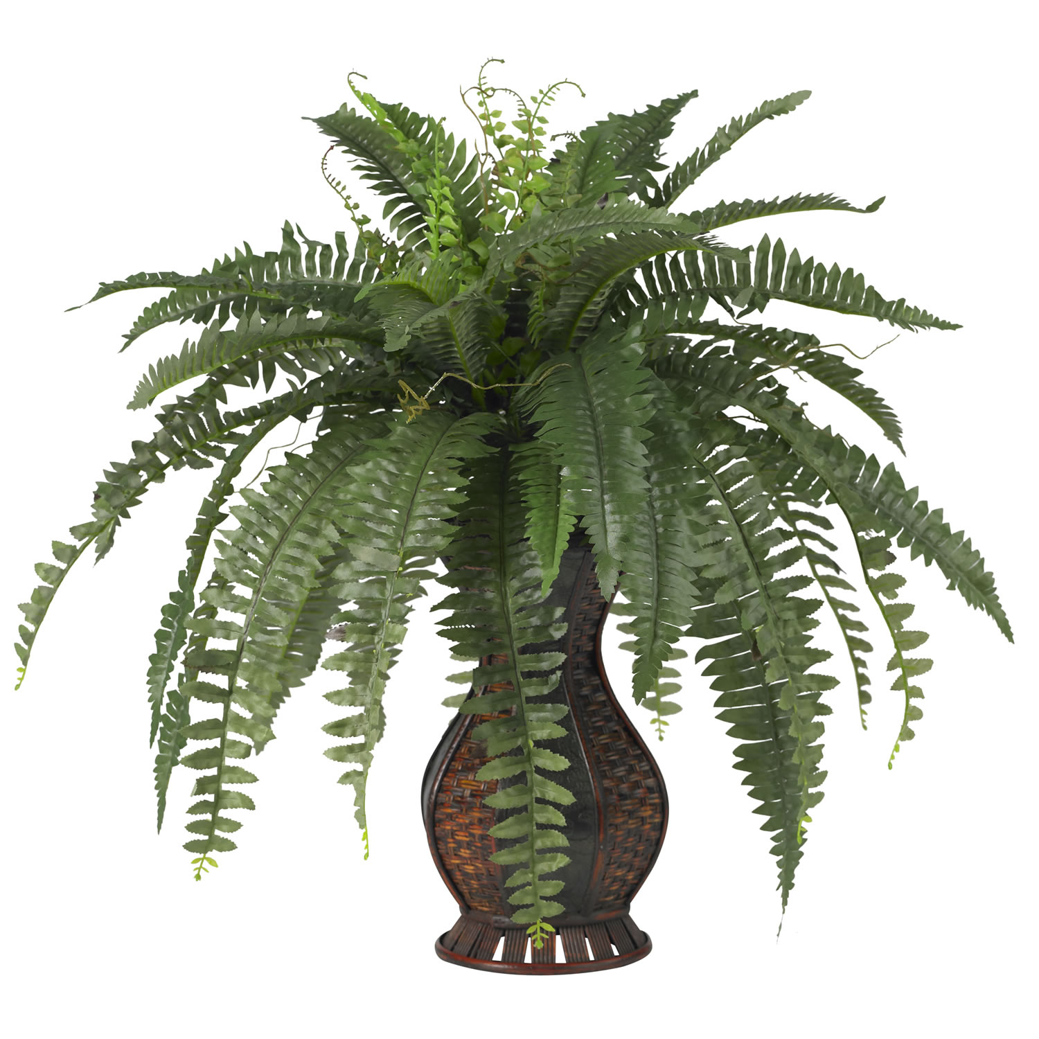 28 inch Boston Fern in Urn