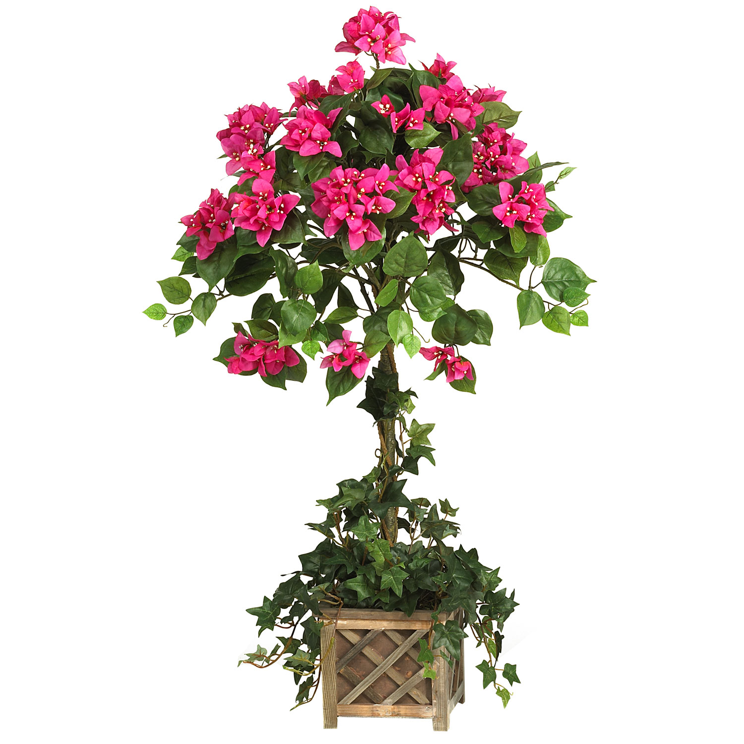 34 Inch Bougainvillea Topiary In Wood Box