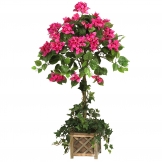 34 inch Bougainvillea Topiary in Wood Box