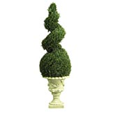 4 foot Cedar Spiral Topiary in Decorative Urn