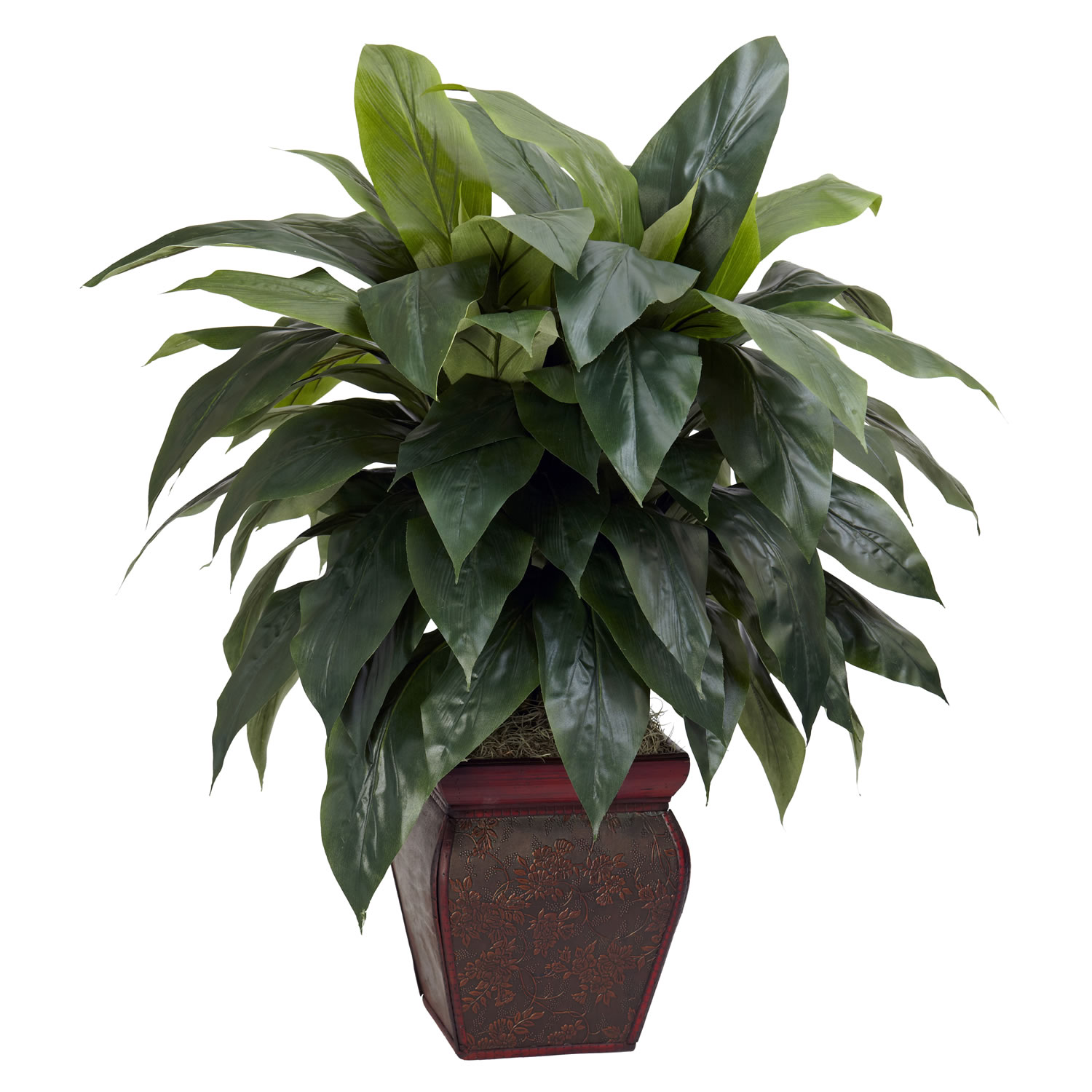 35 Inch Cordyline In Decorative Vase