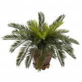 15 inch Cycas Palms in Hexagon Planter