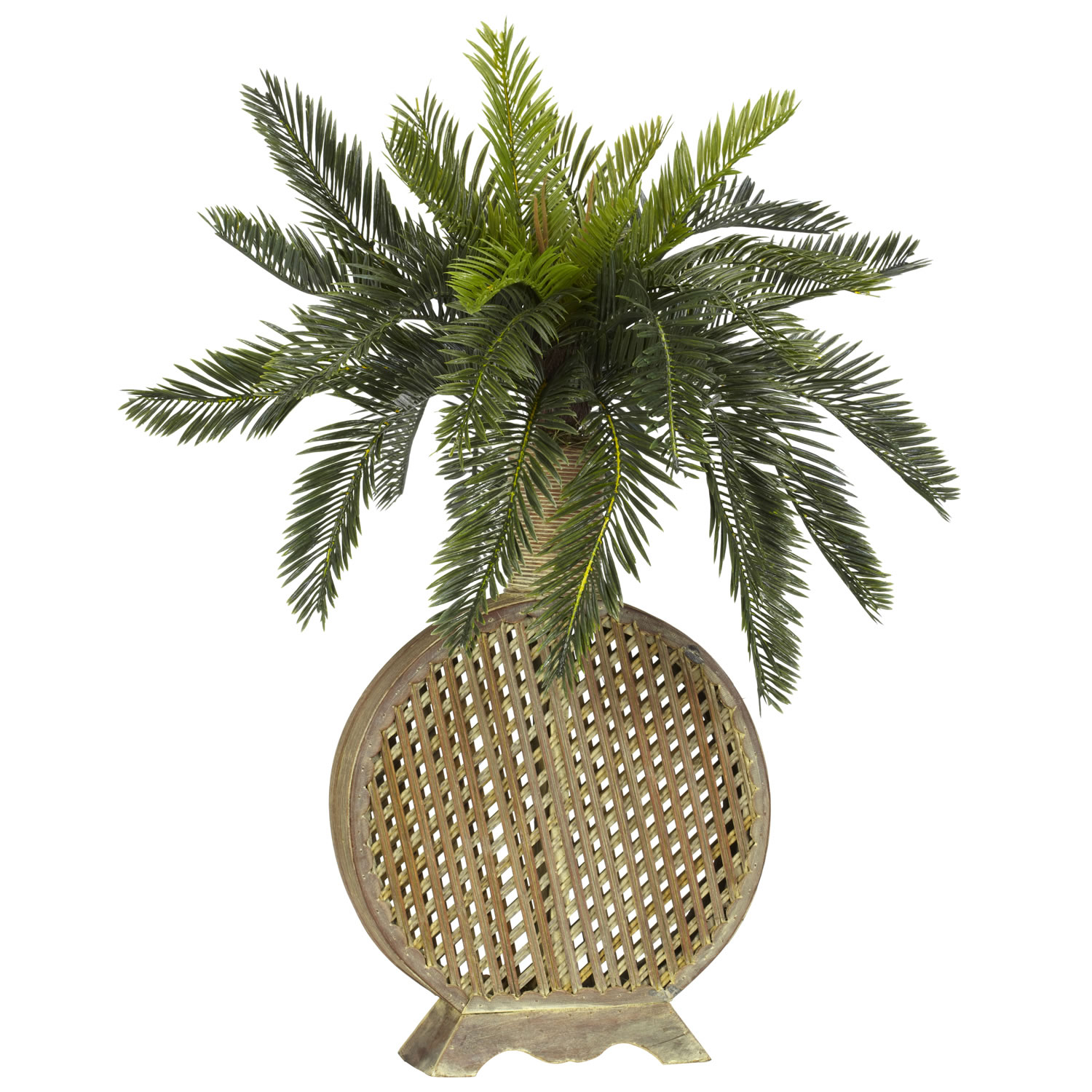 inch Cycas Palms Decorative Vase