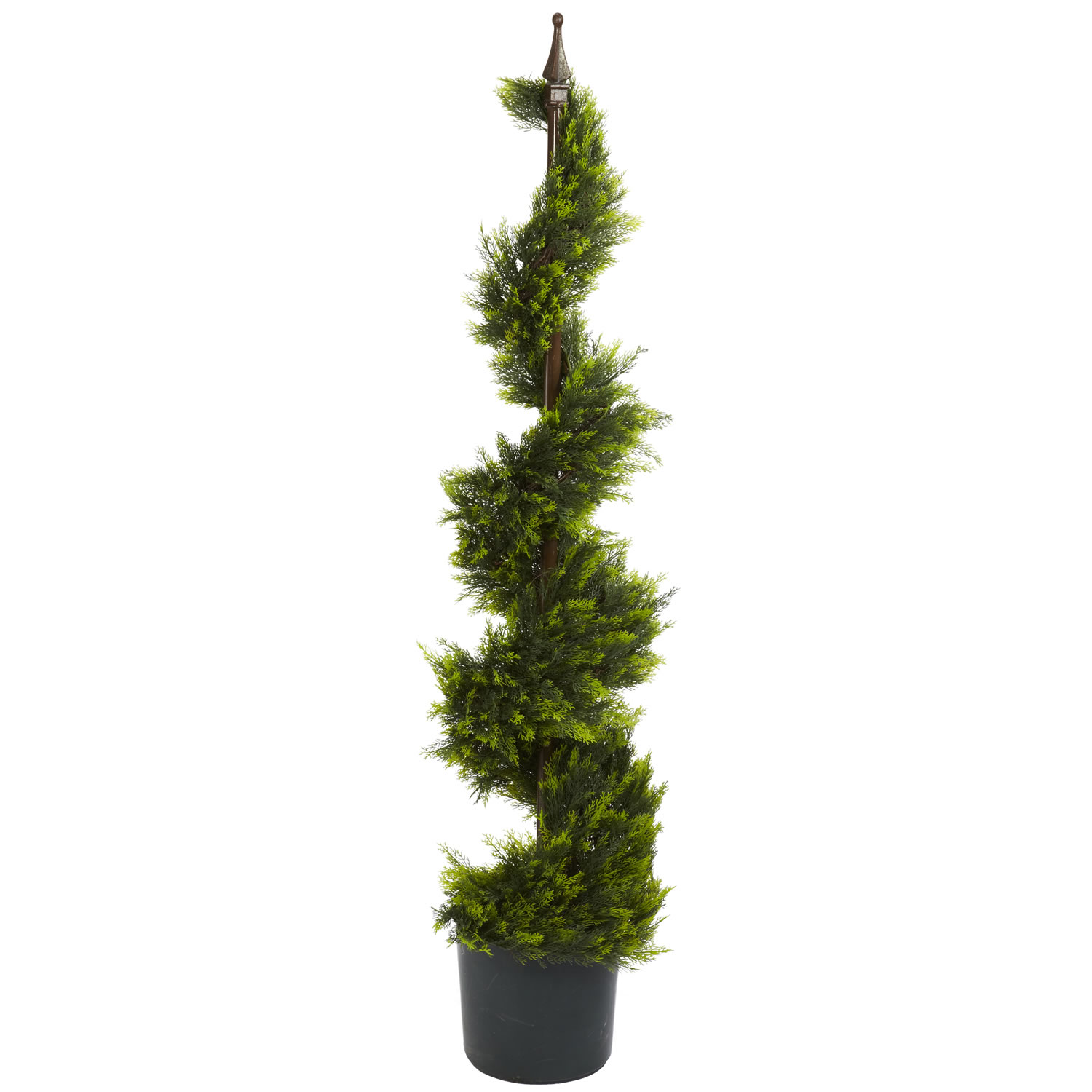 4 Foot Cypress Spiral Topiary With Finial: Potted