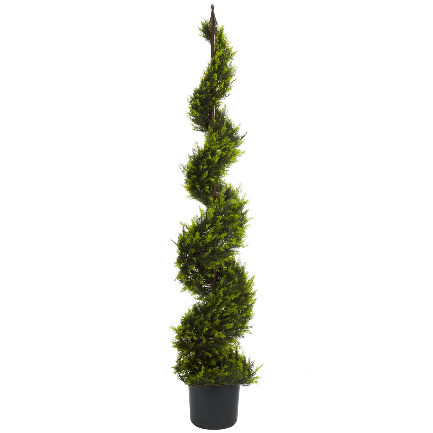 5 Foot Cypress Spiral Topiary With Finial: Potted