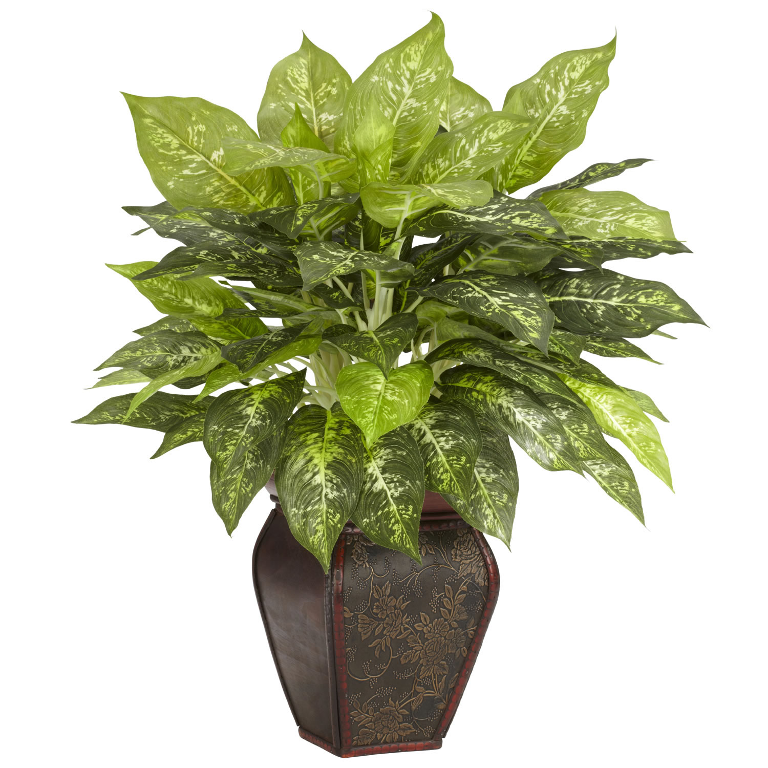 23 Inch Dieffenbachia In Decorative Planter