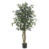 4 foot Silk Ficus Tree: Potted
