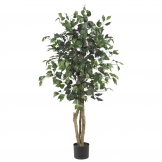 4 foot Silk Ficus Tree: Potted