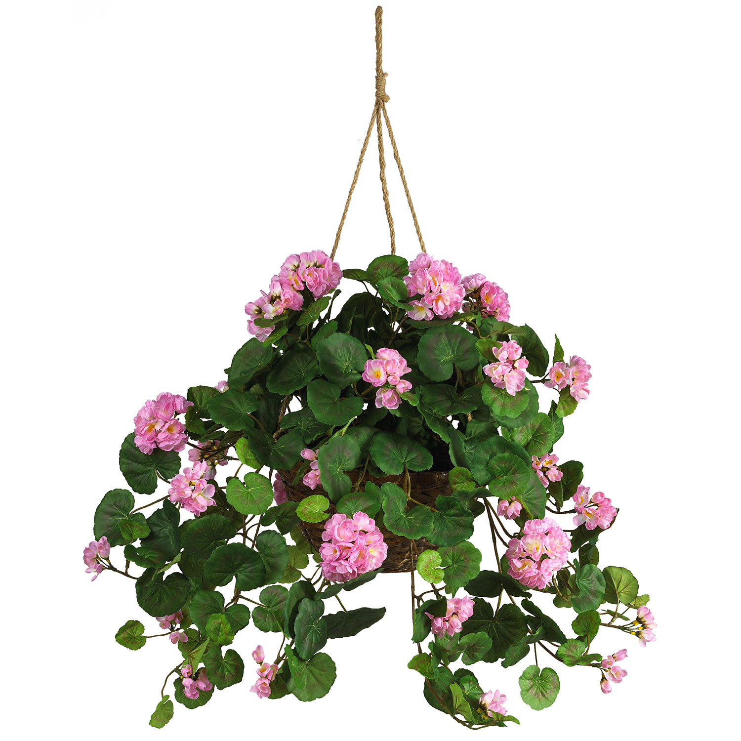 24 Inch Pink Geranium In Hanging Basket