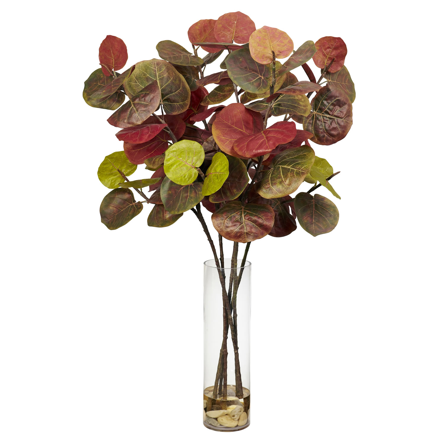 49 Inch Giant Sea Grape Leaf Branches In Vase