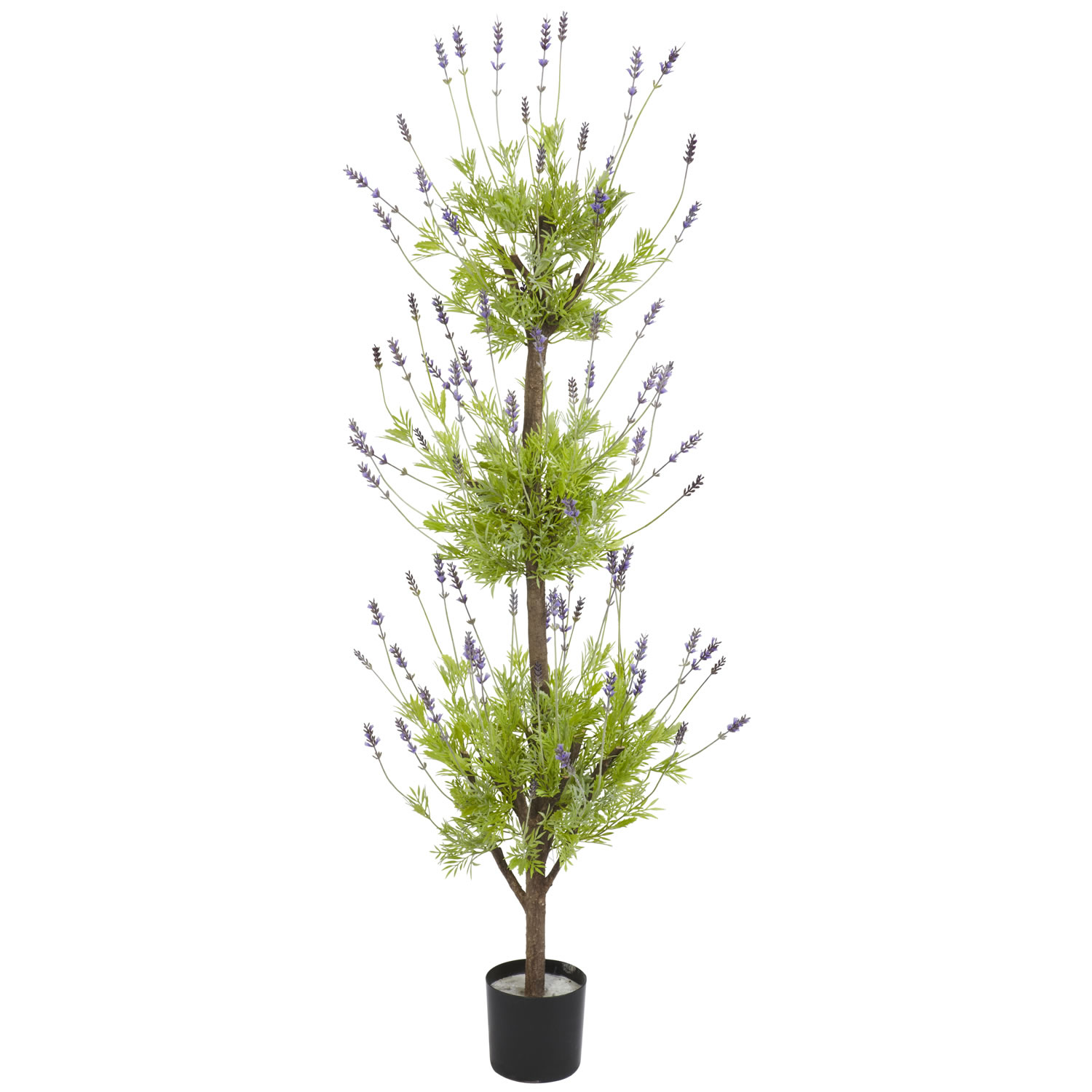 4 Foot Lavender Topiary Tree: Potted
