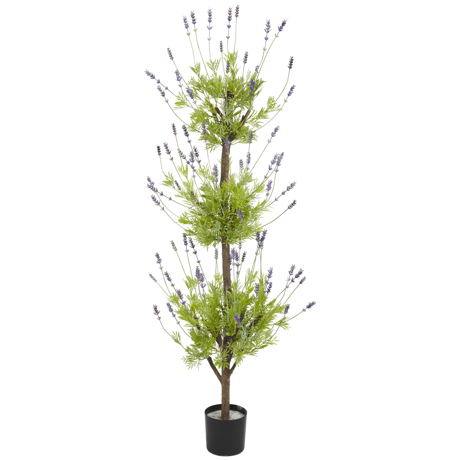 4 foot Lavender Topiary Tree: Potted
