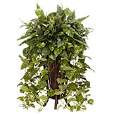 3 foot Vining Mixed Greens in Decorative Stand