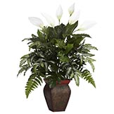 Mixed Greens in Spathyfillum and Decorative Planter