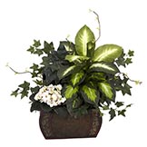 20 inch African Violet, Dieffenbachia and Ivy in Chest