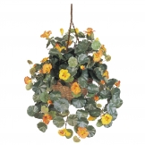 22 inch Nasturtium in Hanging Basket