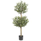 4.5 foot Olive Double Ball Topiary Tree: Potted
