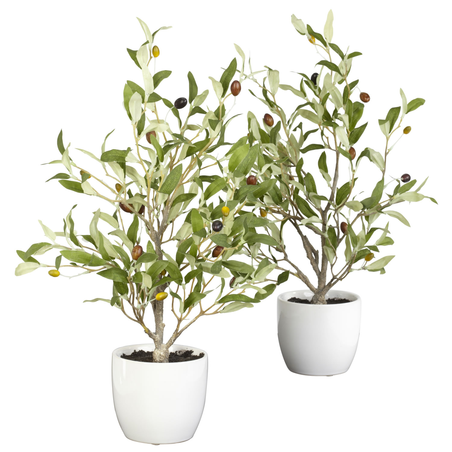 18 Inch Olive Tree In Vase (set Of 2)