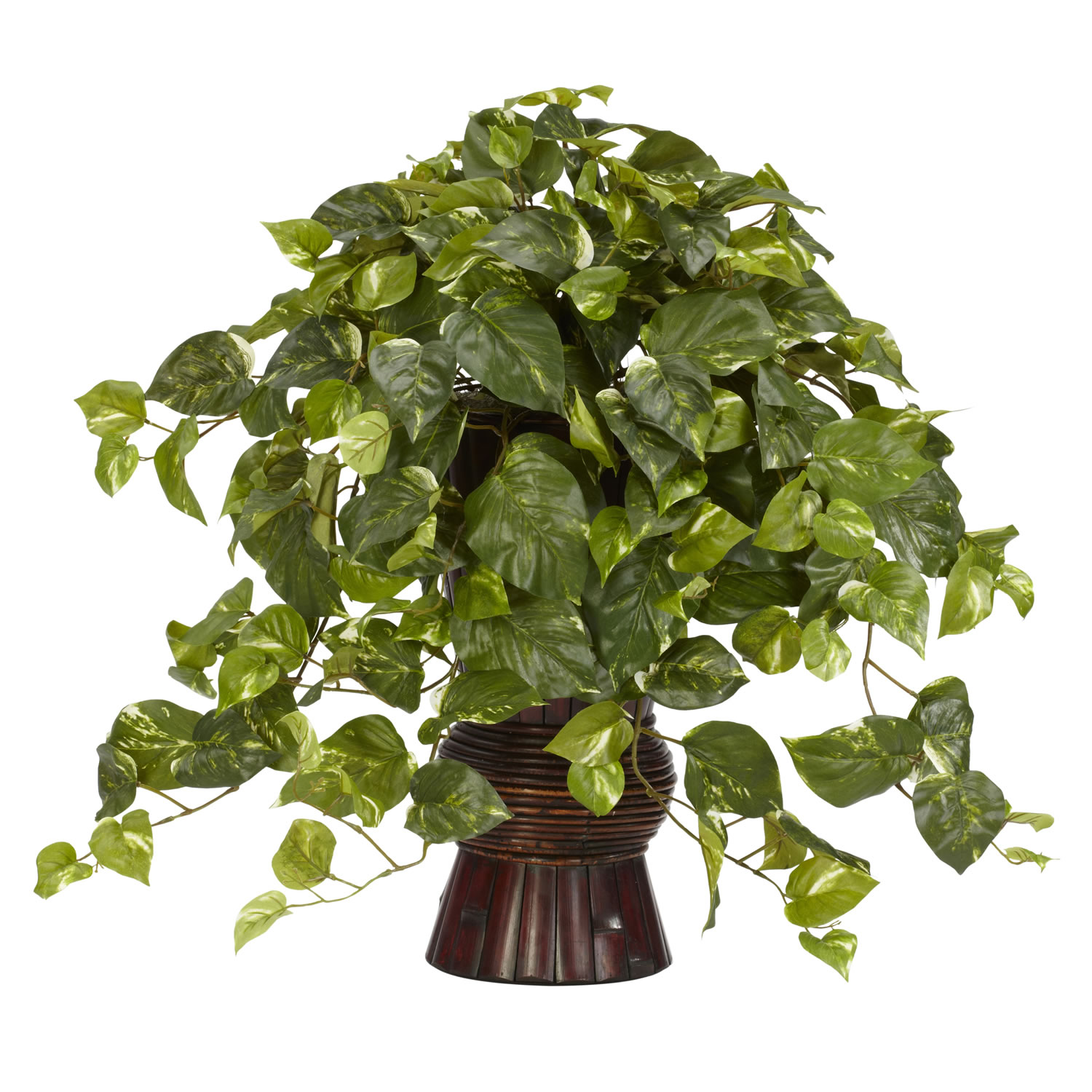 inch Pothos Bamboo Vase