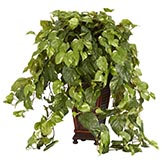 30 inch Vining Pothos in Decorative Vase