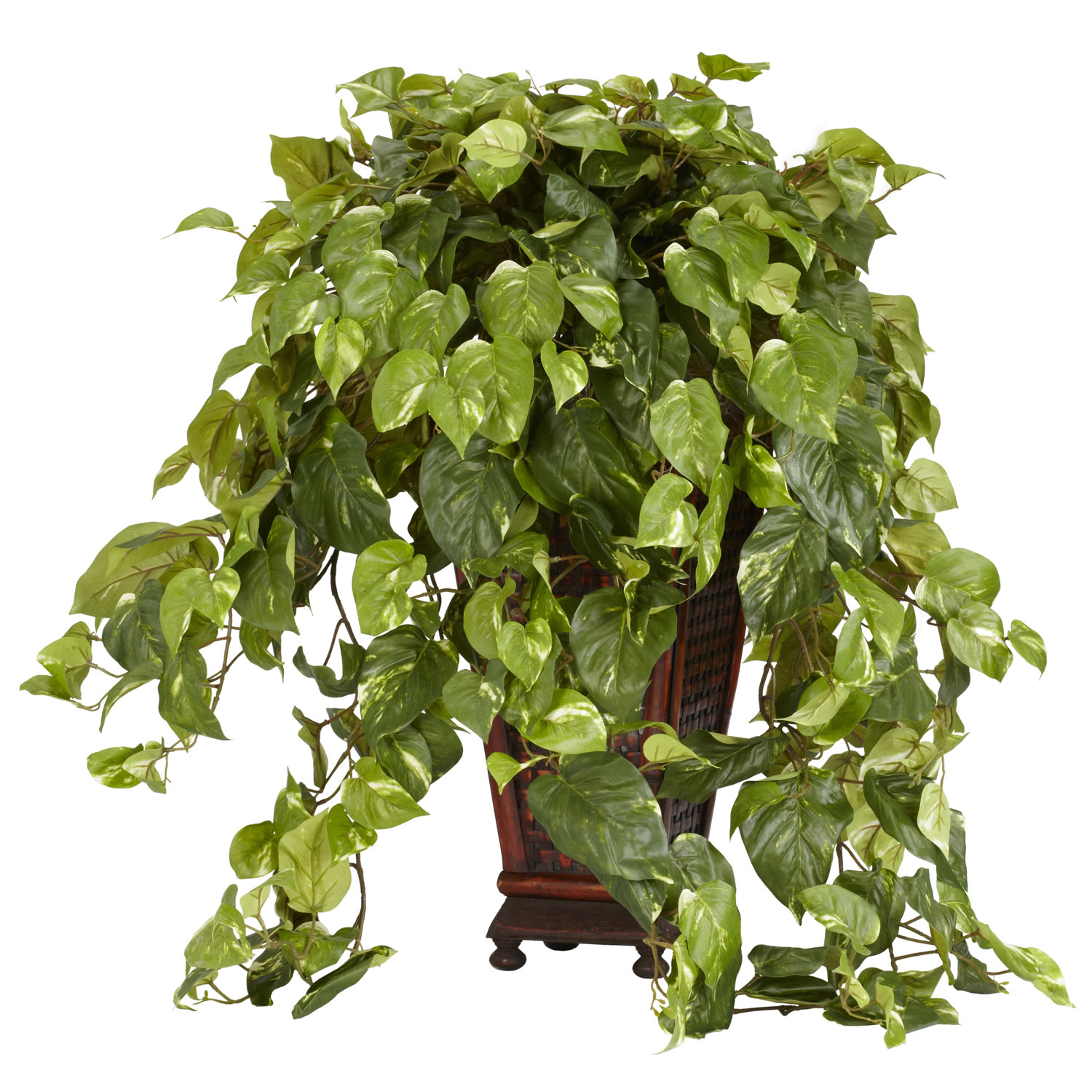 30 Inch Vining Pothos In Decorative Vase