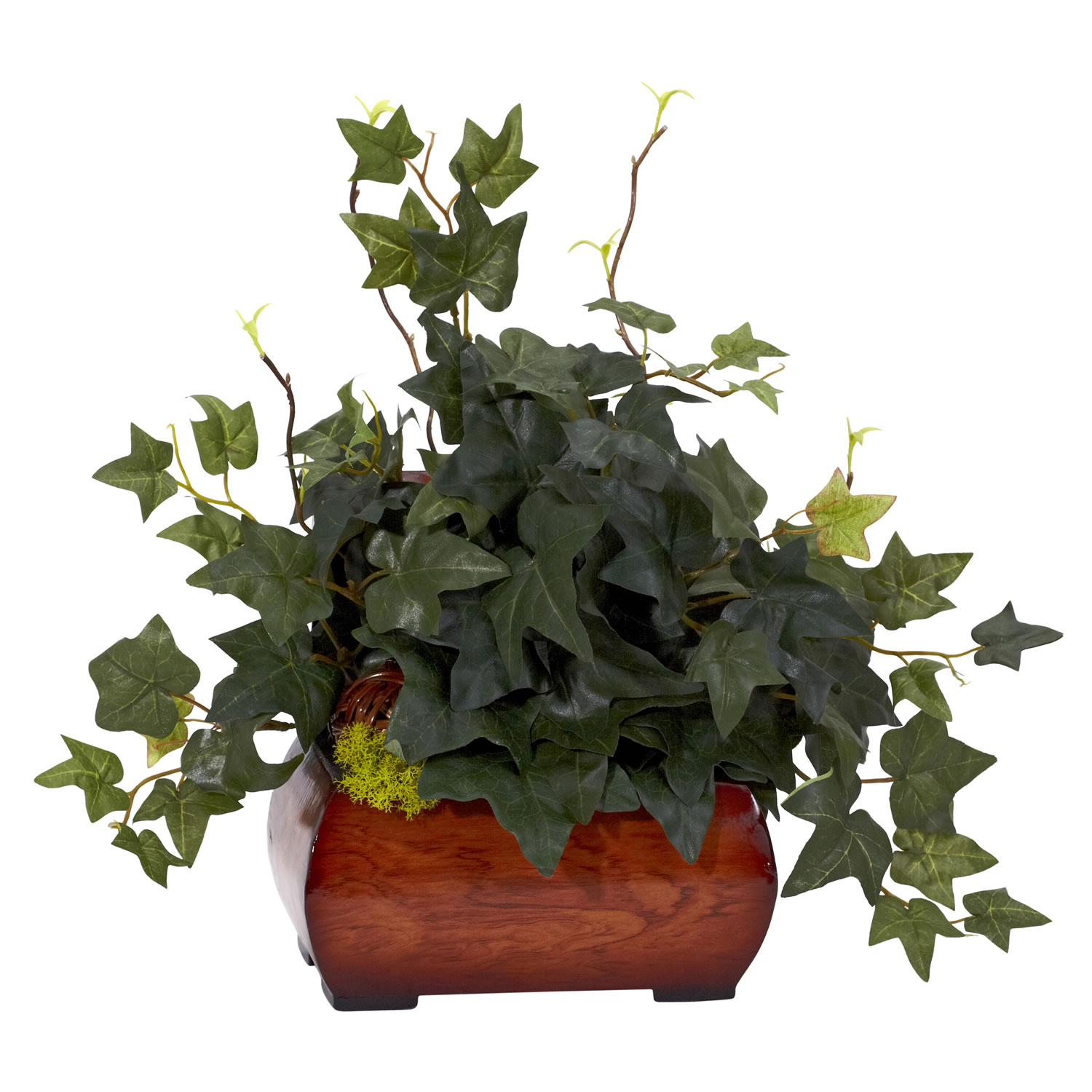 15 inch Puff Ivy in Decorative Chest