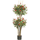 5 foot Mini Rose Tree: Potted