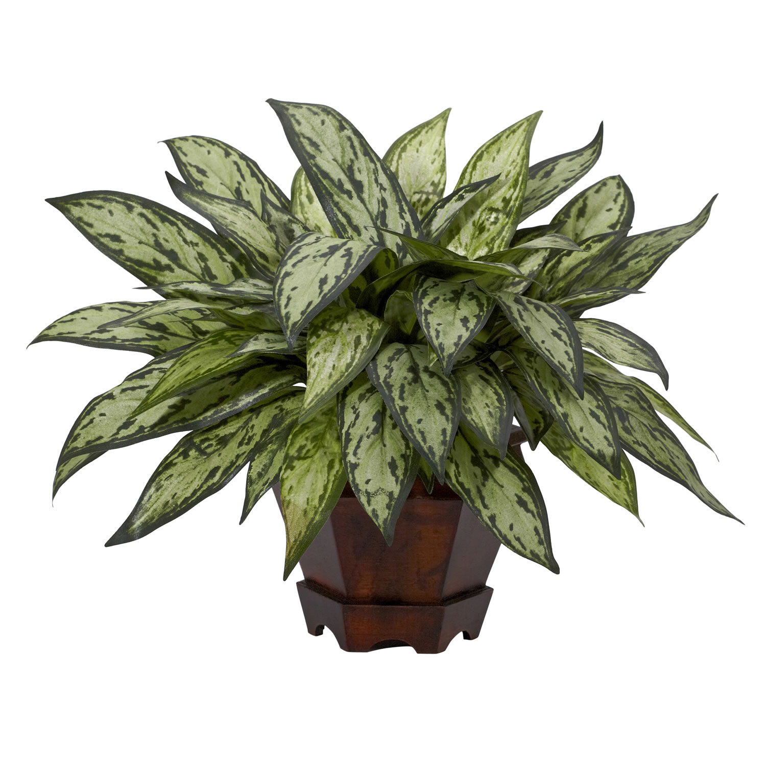 14 inch Triple Silver Queen Plant in Hexagon Vase