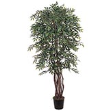 6 foot Smilax Tree: Potted