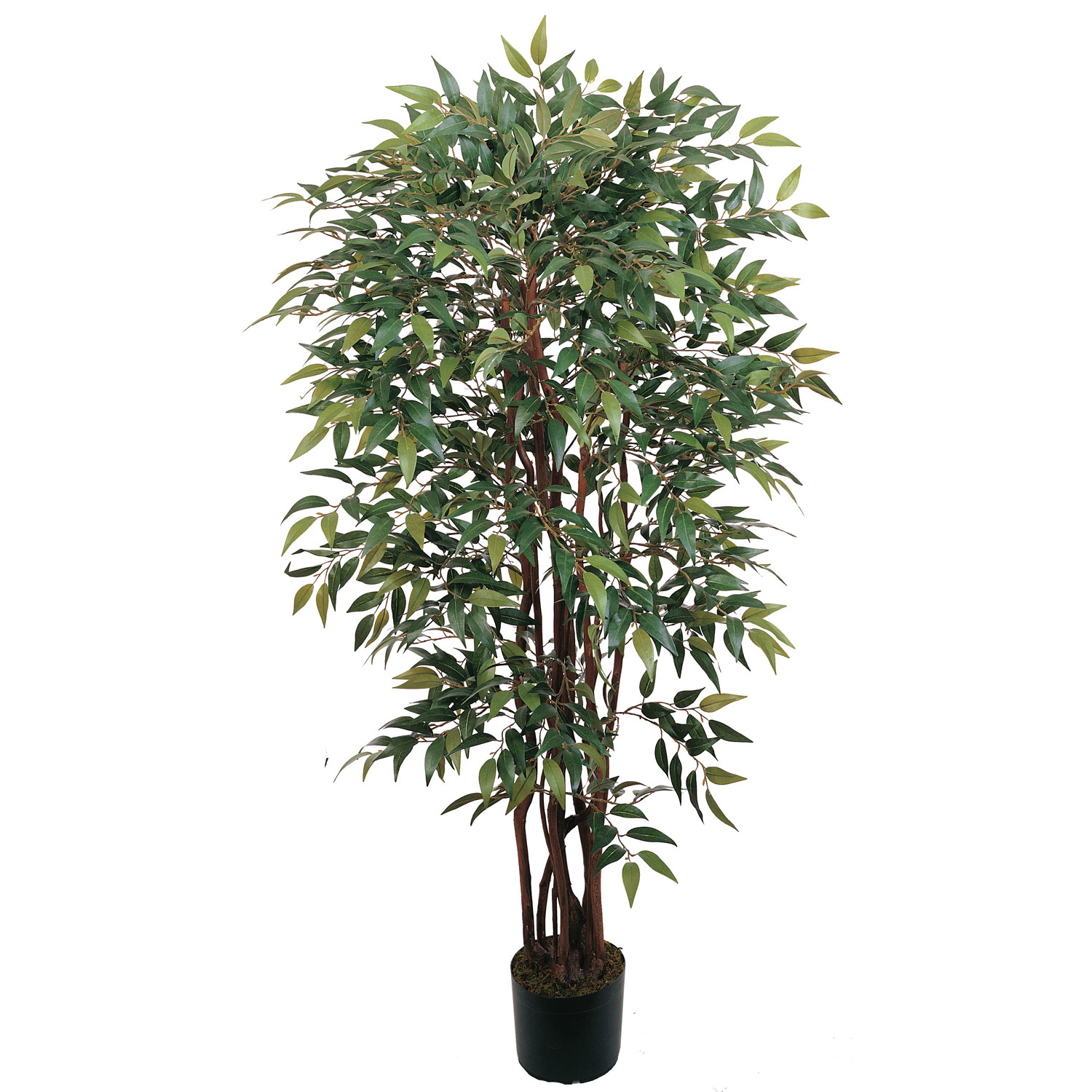 4 foot smilax tree potted 5081 4 foot smilax tree potted 5081