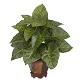 17 inch Taro Plant in Vase