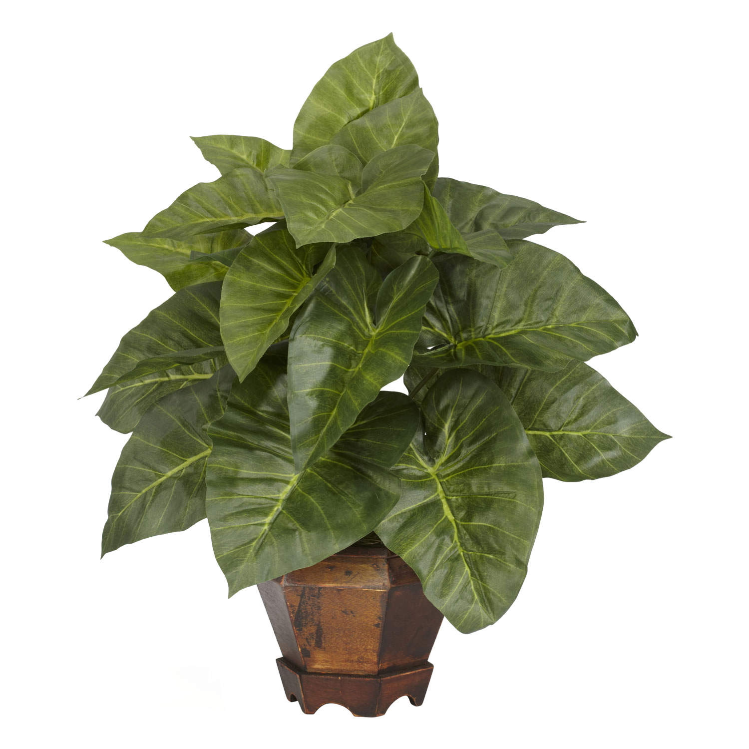 17 inch Taro Plant in Vase