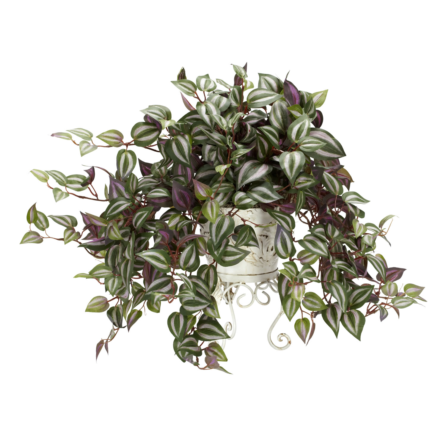 18 inch Wandering Jew in Metal Planter