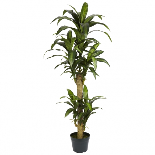 wall hanging plant holders Large Ceramic Wall Planter main image 1