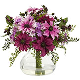 11.5 inch Mixed Silk Daisy Arrangement in Vase
