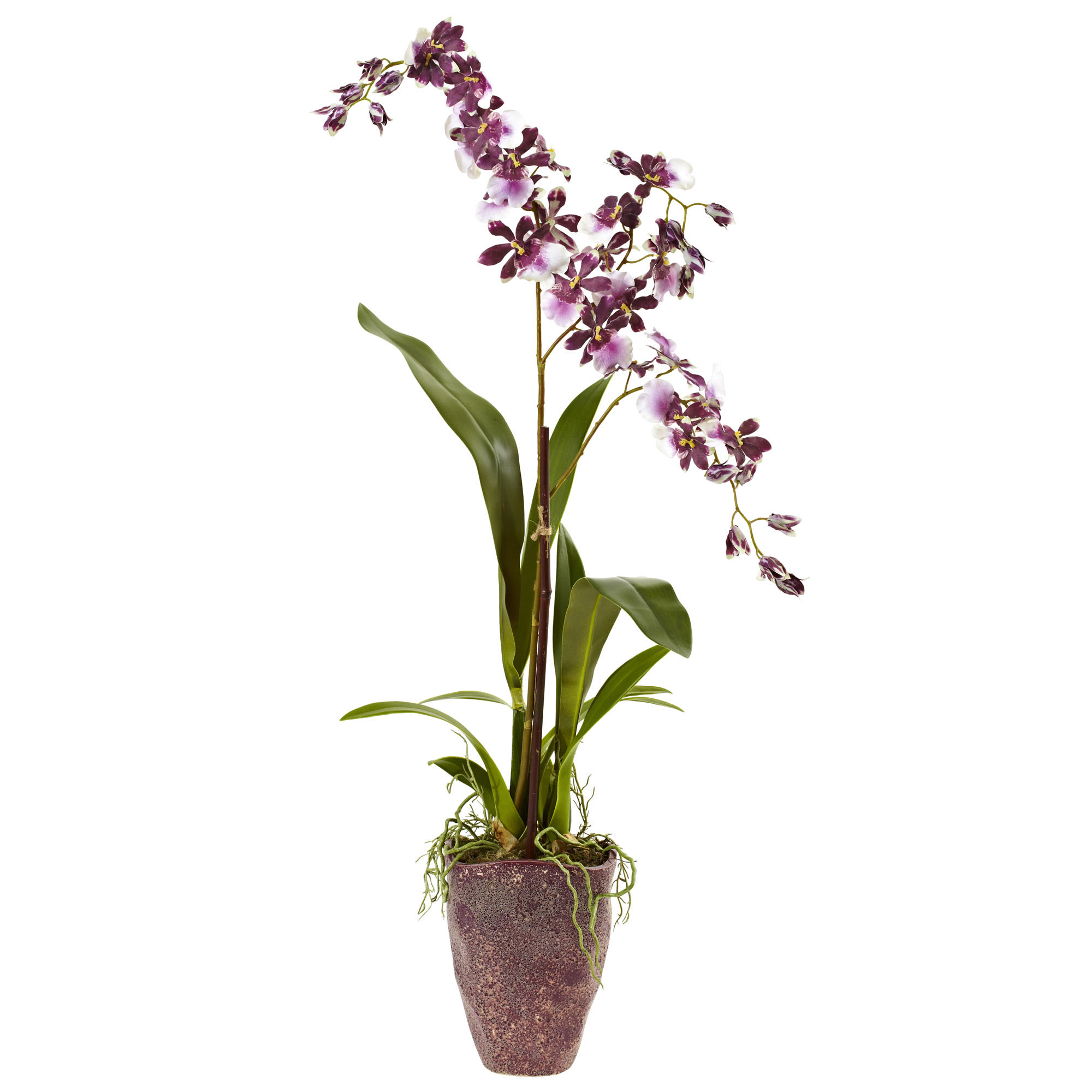 28.5 Inch Indoor Silk Dancing Lady Orchid In Textured Decorative Vase